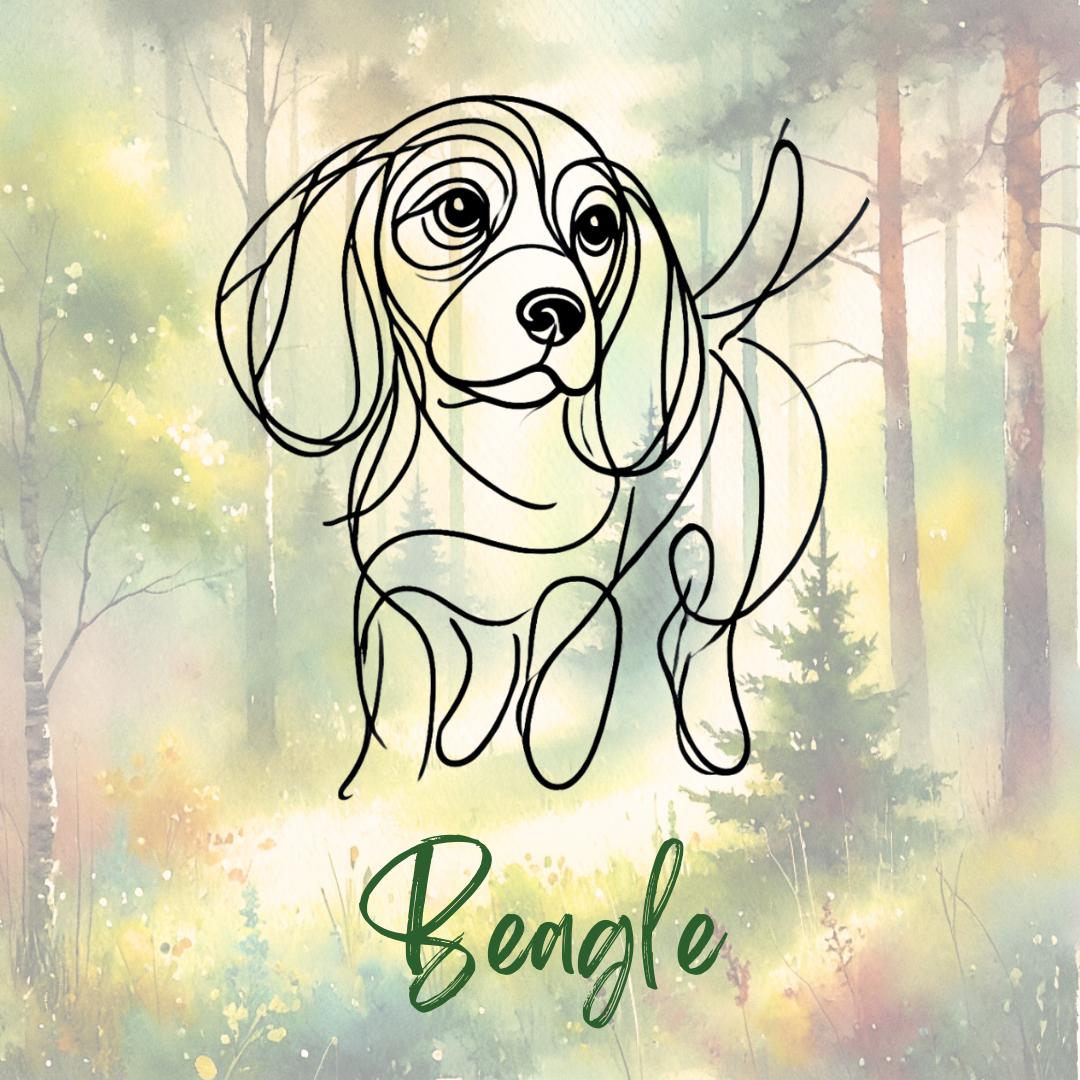 Beagle