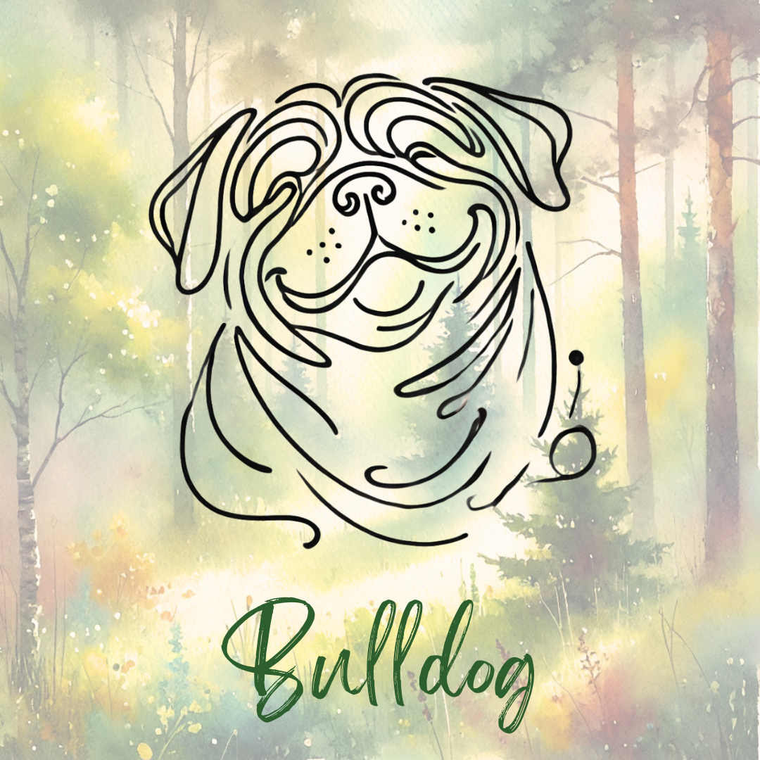 Bulldog