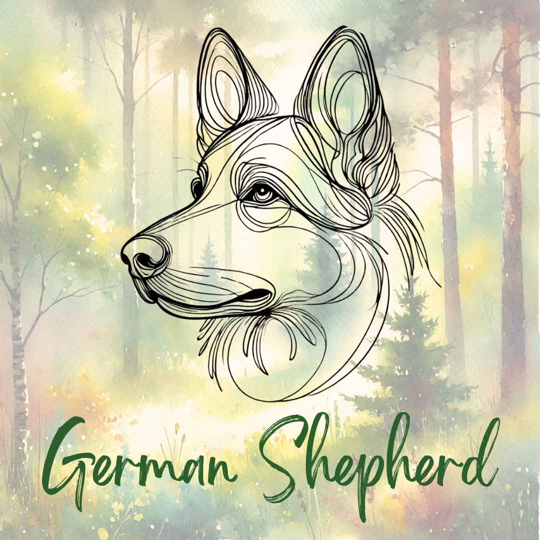 German Shepherd (GSD)